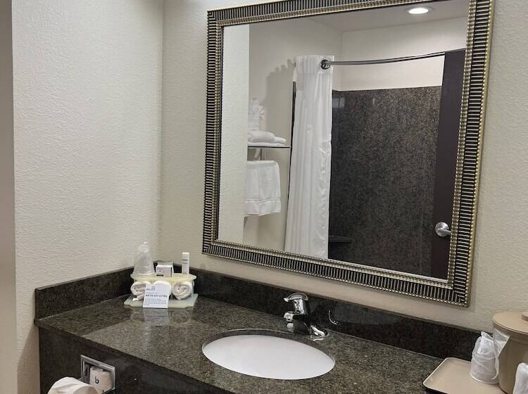 适合残疾人士使用的套间, Holiday Inn Express & Suites Omaha I 80, An Ihg
