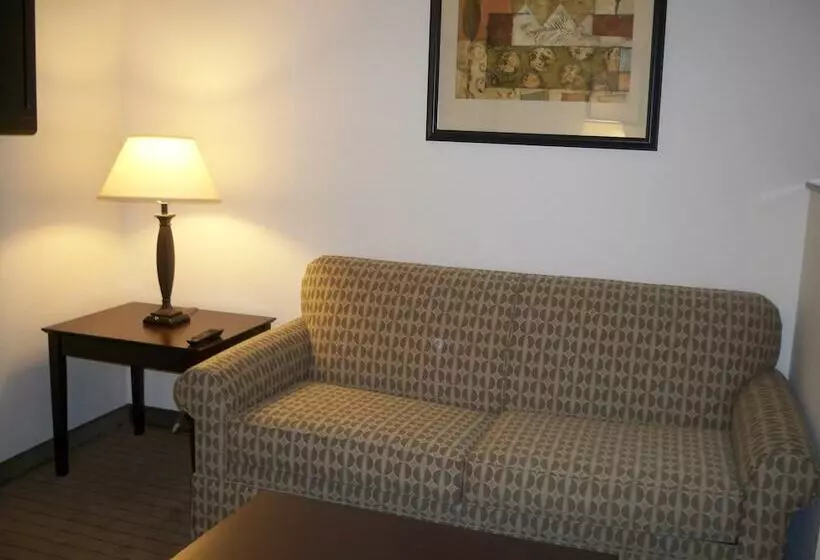 Sviitti Liikuntarajoitteisille, Holiday Inn Express & Suites   Omaha I   80, An Ihg