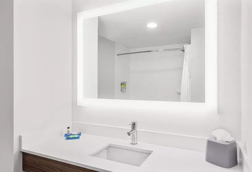 スイート, Holiday Inn Express Hotel & Suites Palm Bay, An Ihg