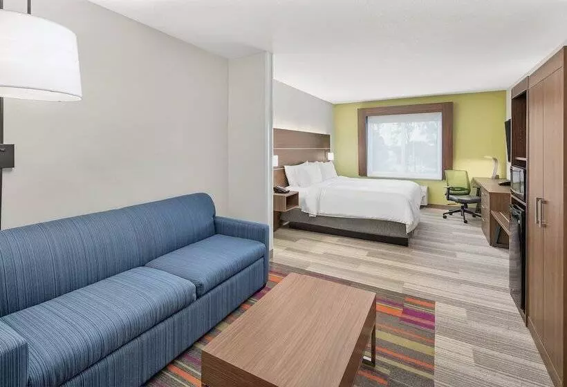 スイート, Holiday Inn Express Hotel & Suites Palm Bay, An Ihg