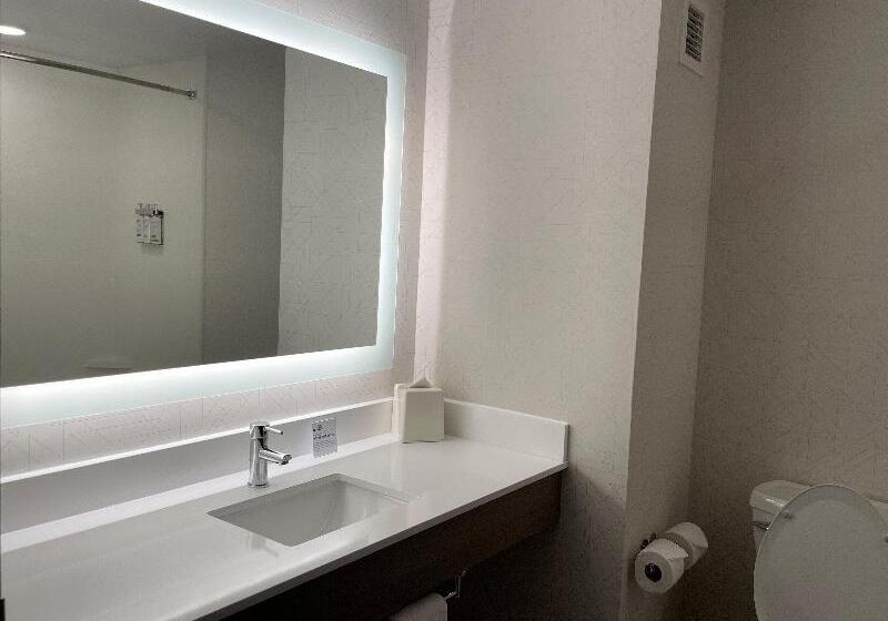 带大床的标准间, Holiday Inn Express & Suites   Tuscaloosa University, An Ihg