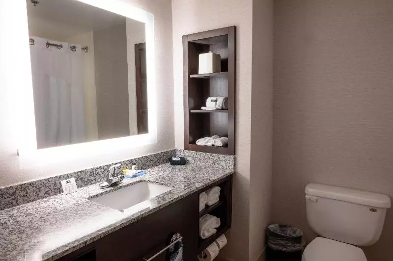 キングサイズベッドのスタンダードルーム, Holiday Inn Express & Suites   Tuscaloosa University, An Ihg