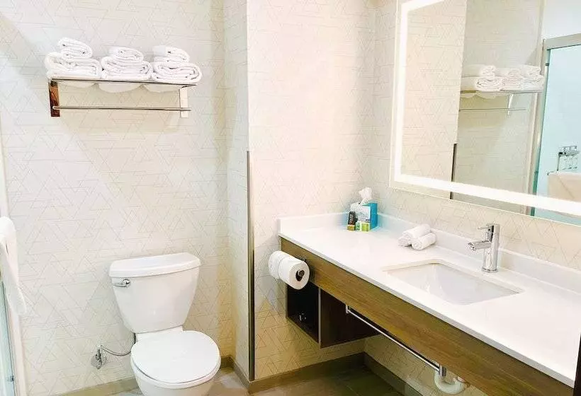 スタンダードルーム, Holiday Inn Express & Suites Frazier Park, An Ihg