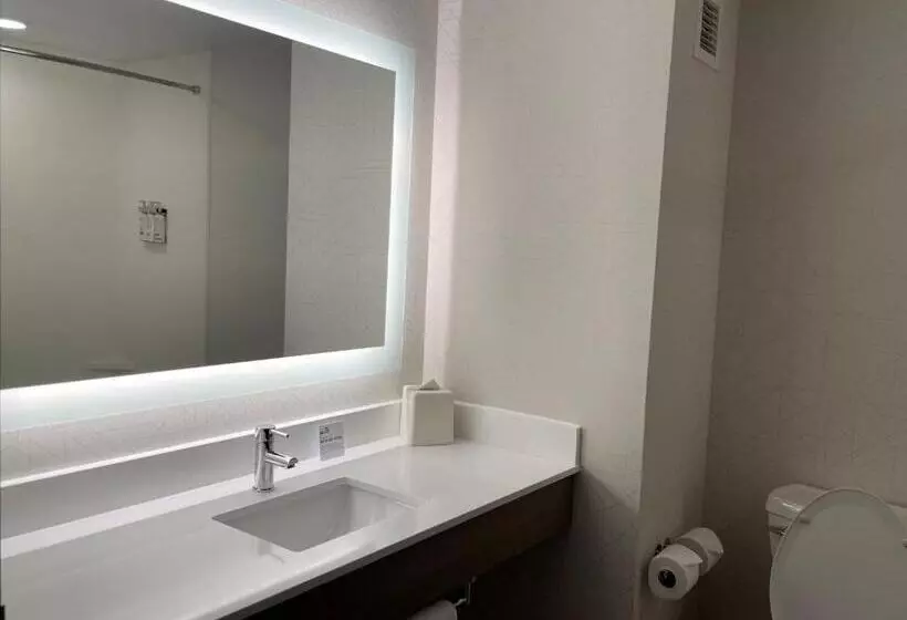 キングサイズベッドのスタンダードルーム, Holiday Inn Express & Suites   Tuscaloosa University, An Ihg