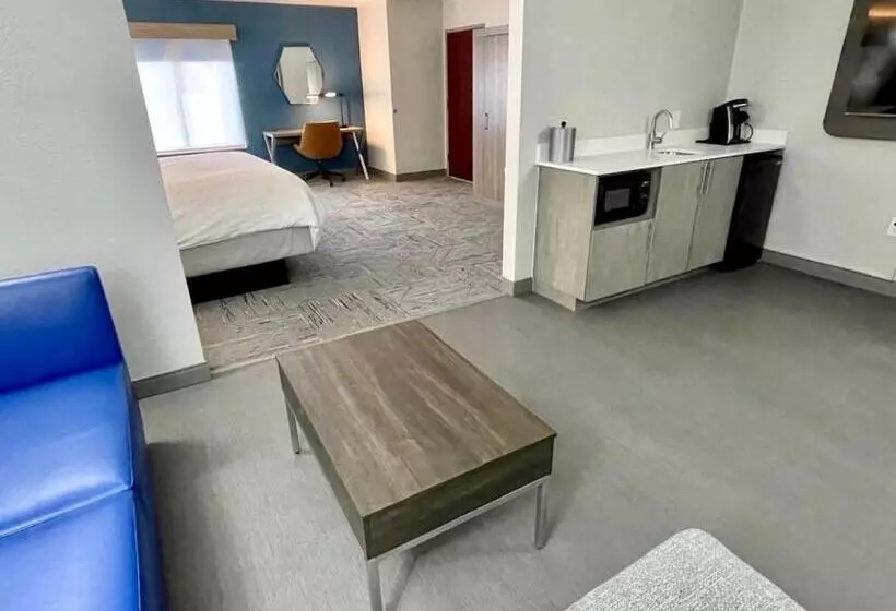 キングサイズベッドのスイートルーム, Holiday Inn Express & Suites   Tuscaloosa University, An Ihg