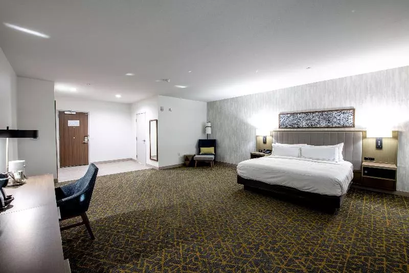 身障者適用キングサイズベッドルーム, Doubletree By Hilton Sulphur Lake Charles
