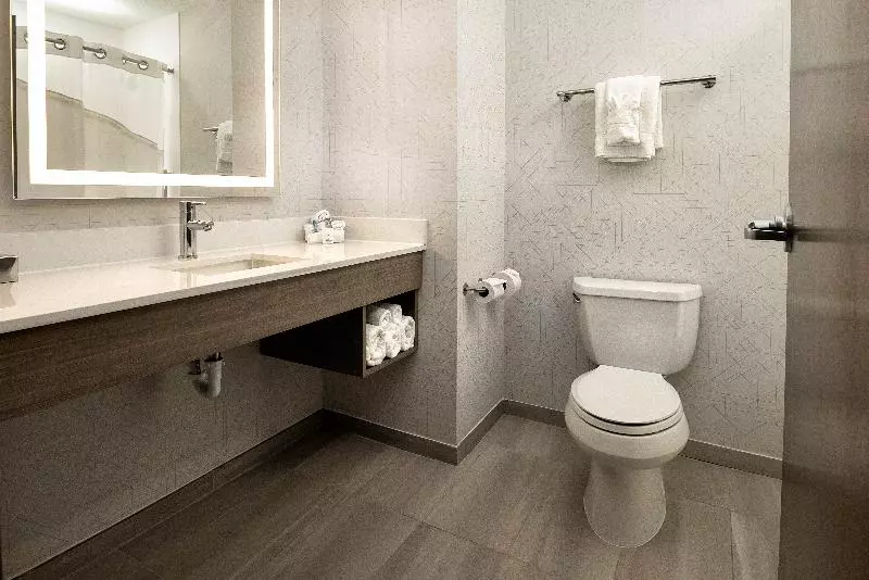 スタンダードルーム, Holiday Inn Express Hotel & Suites Festus South St. Louis, An Ihg