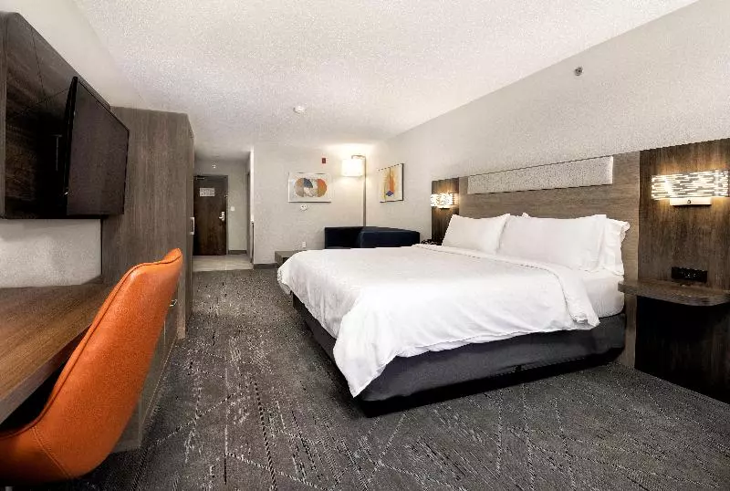キングサイズベッドのスタンダードルーム, Holiday Inn Express Hotel & Suites Festus South St. Louis, An Ihg