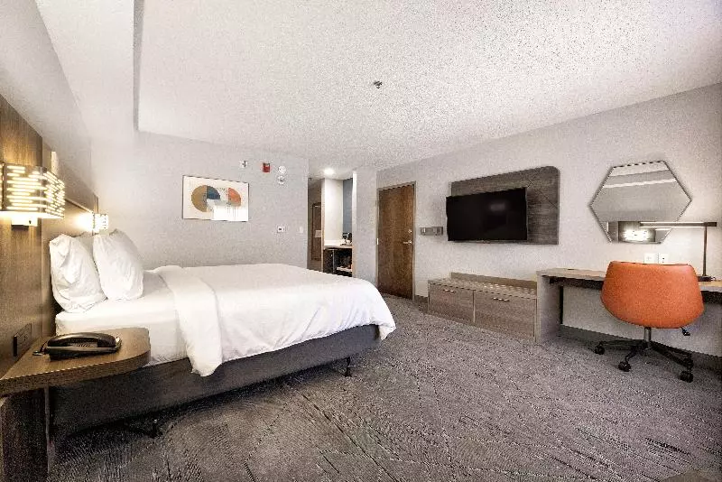 キングサイズベッドのスタンダードルーム, Holiday Inn Express Hotel & Suites Festus South St. Louis, An Ihg