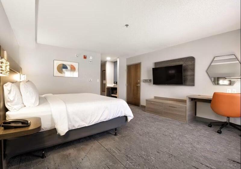 חדר סטנדרט, מיטת קינג, מותאם לאדם עם מוגבלויות, Holiday Inn Express Hotel & Suites Festus South St. Louis, An Ihg