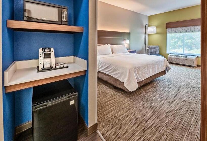 Standard Szoba King Size Bed, Holiday Inn Express Hotel & Suites Lake Zurich Barrington, An Ihg