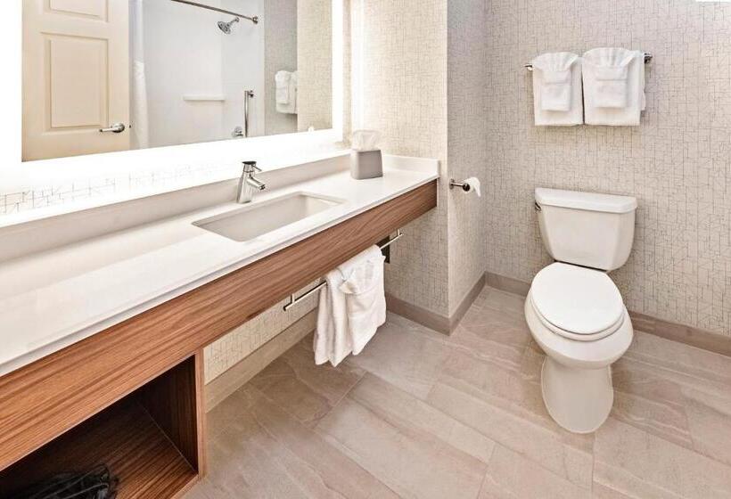 스탠다드 룸 킹사이즈 침대, Holiday Inn Express Hotel & Suites Lake Zurich Barrington, An Ihg