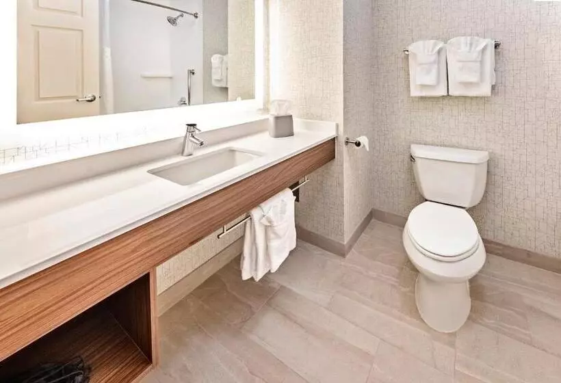 Standard-huone King-vuode, Holiday Inn Express Hotel & Suites Lake Zurich Barrington, An Ihg