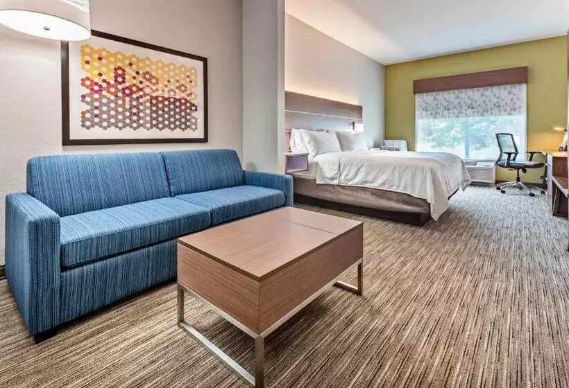 Sviitti King-vuode, Holiday Inn Express Hotel & Suites Lake Zurich Barrington, An Ihg