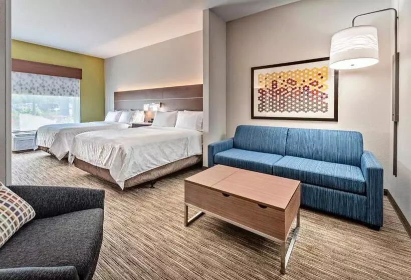 Sviitti, Holiday Inn Express Hotel & Suites Lake Zurich Barrington, An Ihg