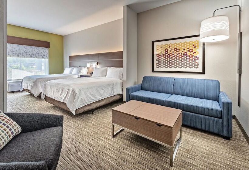 Lakosztály, Holiday Inn Express Hotel & Suites Lake Zurich Barrington, An Ihg