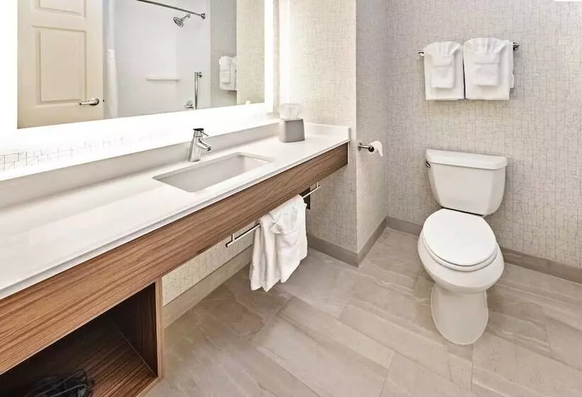 Sviitti Liikuntarajoitteisille, Holiday Inn Express Hotel & Suites Lake Zurich Barrington, An Ihg