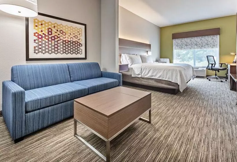 Sviitti Liikuntarajoitteisille, Holiday Inn Express Hotel & Suites Lake Zurich Barrington, An Ihg