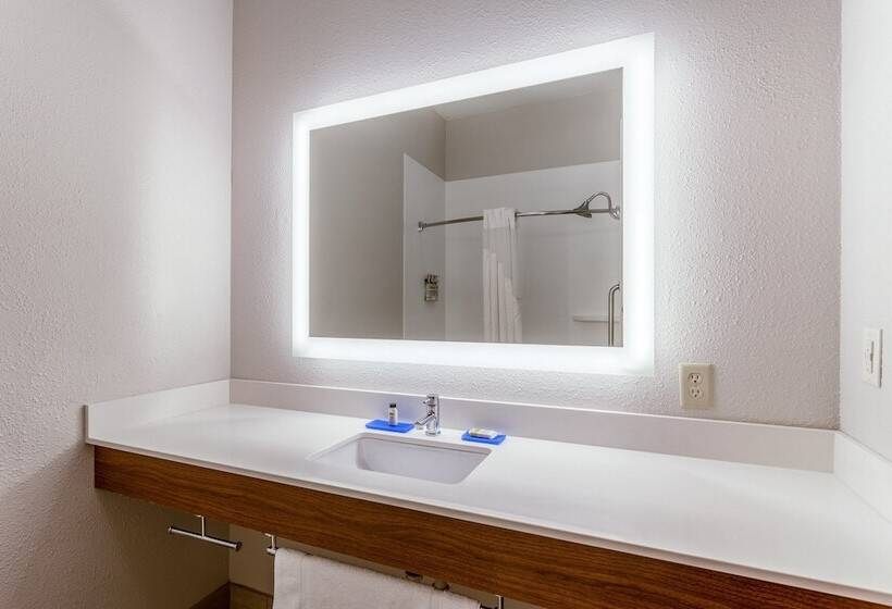 スタンダードルーム, Holiday Inn Express & Suites O Fallon Shiloh, An Ihg