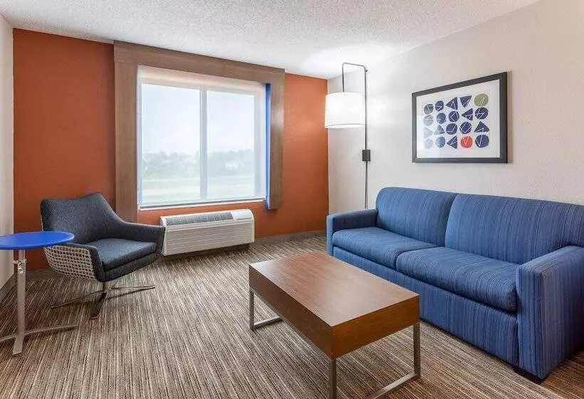 スイート, Holiday Inn Express & Suites O Fallon Shiloh, An Ihg