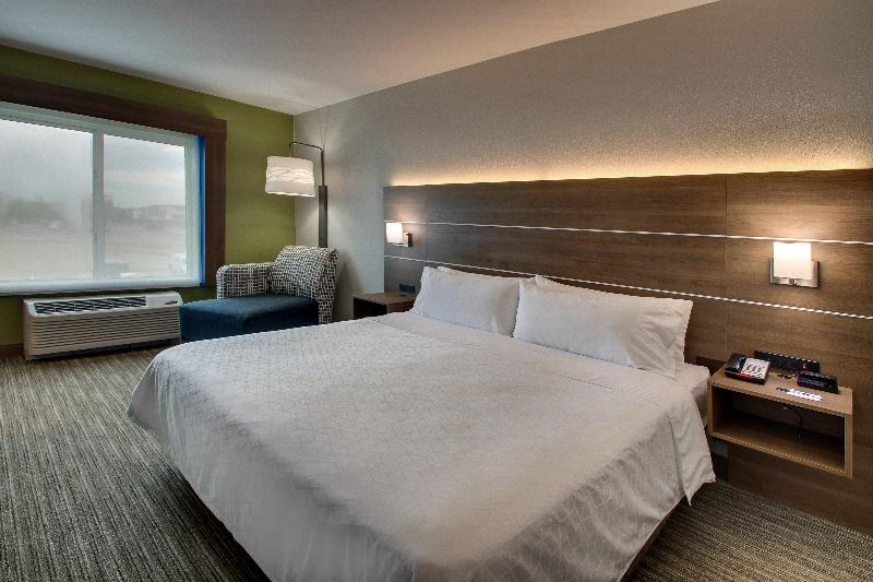 이그제큐티브 룸 킹사이즈 침대, Holiday Inn Express Hotel & Suites Waukegan/gurnee, An Ihg