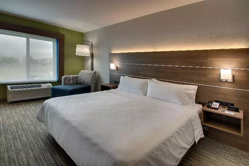 اتاق اجرایی با تخت بزرگ, Holiday Inn Express Hotel & Suites Waukegan/gurnee, An Ihg
