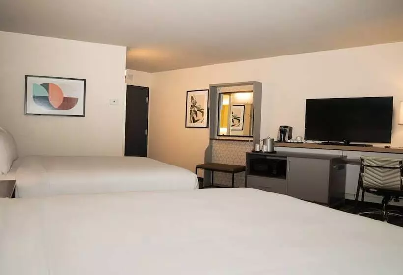 スタンダードルーム, Holiday Inn New Orleans West Bank Tower, An Ihg