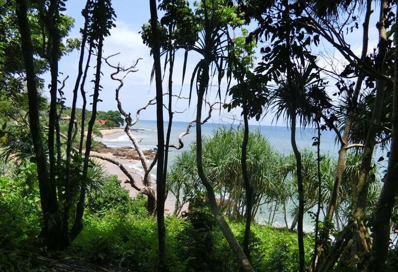 オーシャンビューのスタンダードバンガロー, The Narima Sha Plus