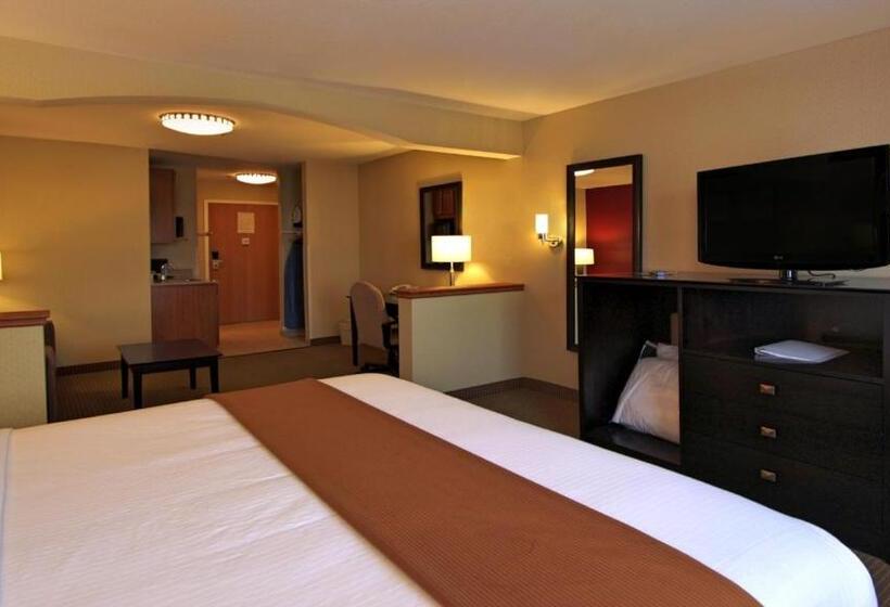 Люкс Кровать Кинг, Holiday Inn Express Hotel & Suites Defiance, An Ihg