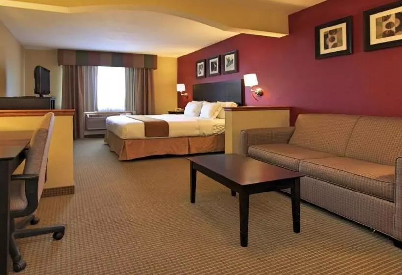 Sviitti King-vuode, Holiday Inn Express Hotel & Suites Defiance, An Ihg