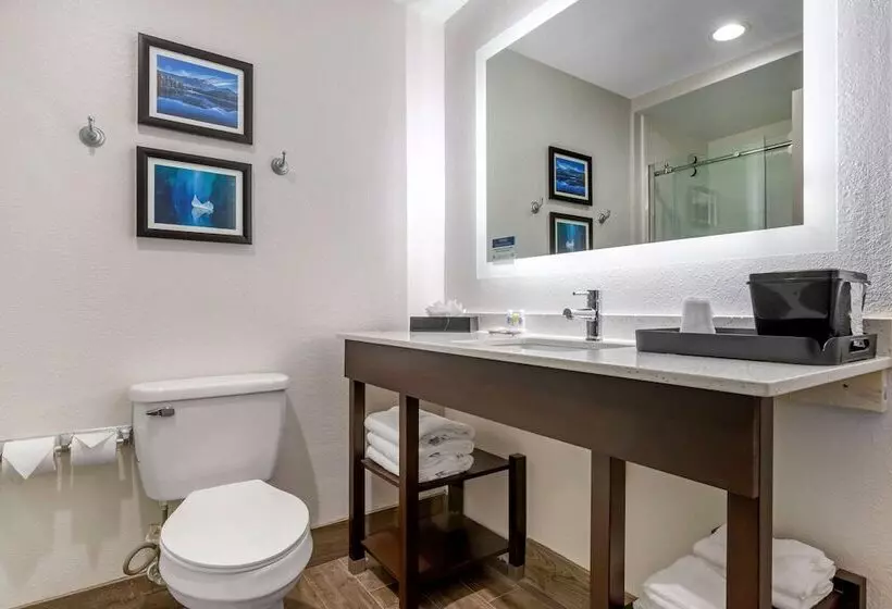 Standard-huone 2 Parivuodetta, Comfort Inn & Suites Greer  Greenville