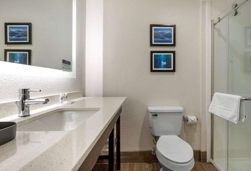 غرفه قياسيه سريرين مزدوجين, Comfort Inn & Suites Greer  Greenville