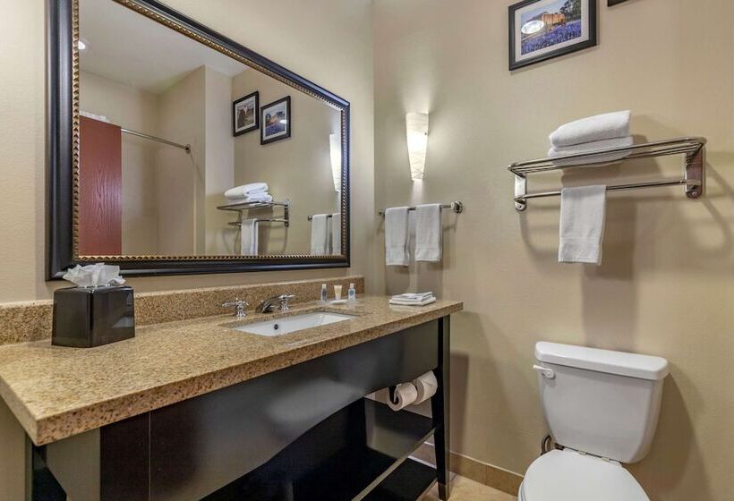 스위트, Comfort Suites Buda   Austin South