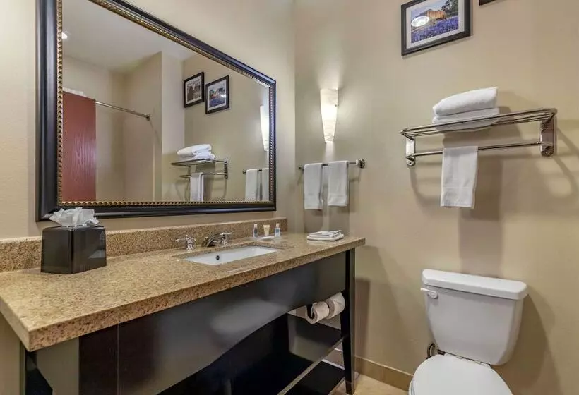 スイート, Comfort Suites Buda   Austin South
