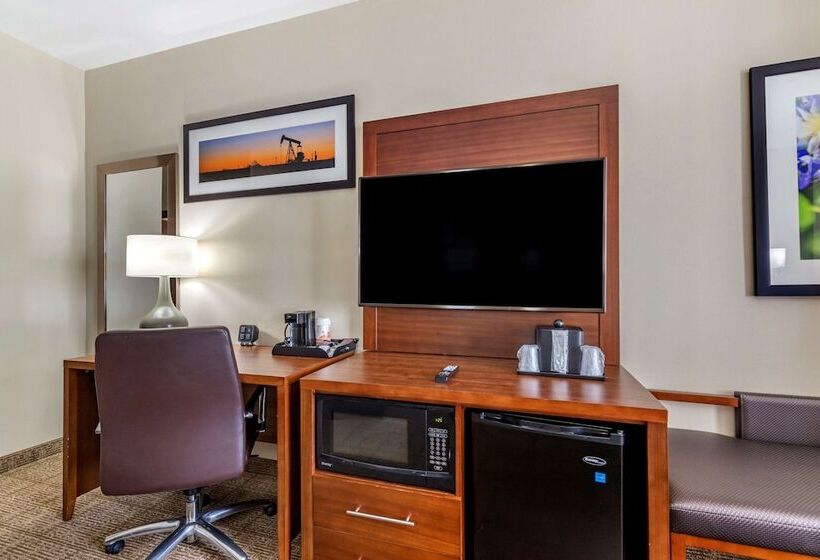 스위트, Comfort Suites Buda   Austin South