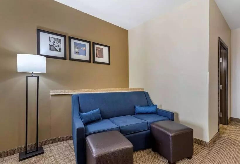 スイート, Comfort Suites Buda   Austin South