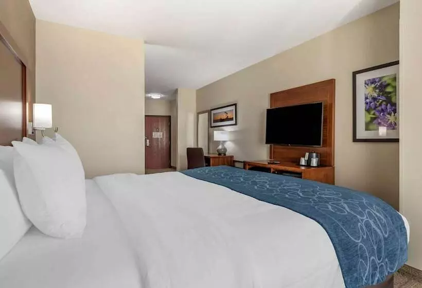 スイート, Comfort Suites Buda   Austin South