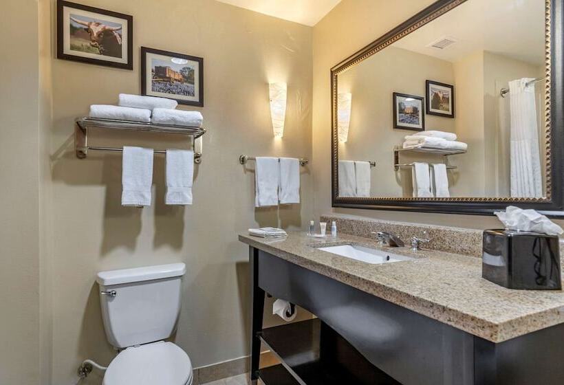 套房, Comfort Suites Buda   Austin South