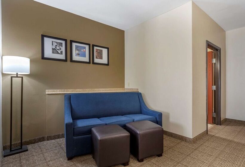 스위트, Comfort Suites Buda   Austin South