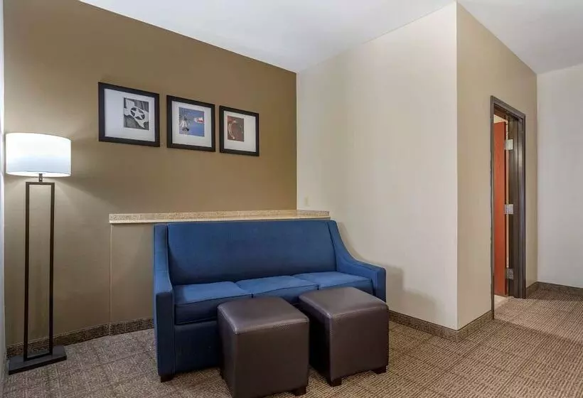 スイート, Comfort Suites Buda   Austin South