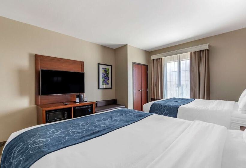 套房, Comfort Suites Buda   Austin South