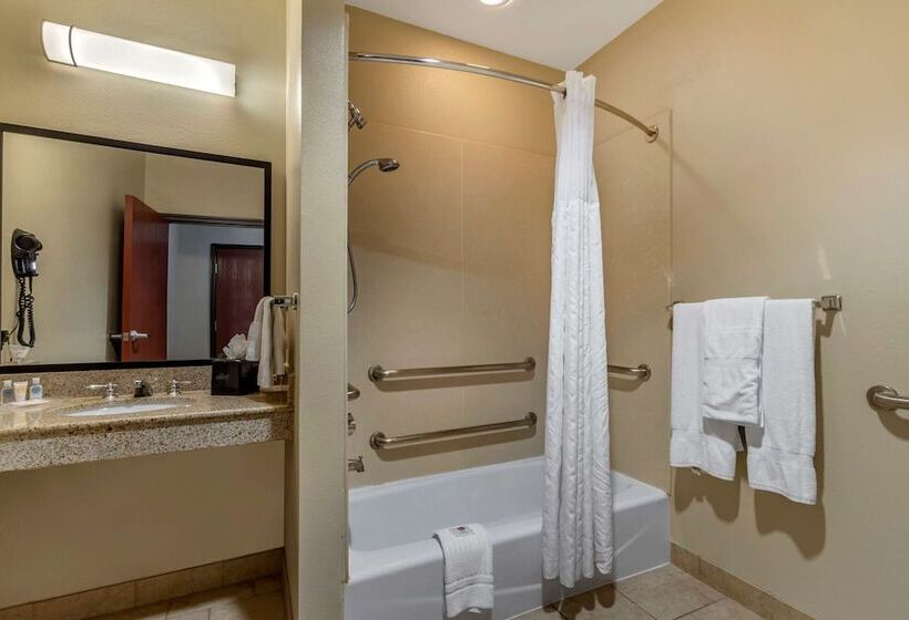 스위트, Comfort Suites Buda   Austin South