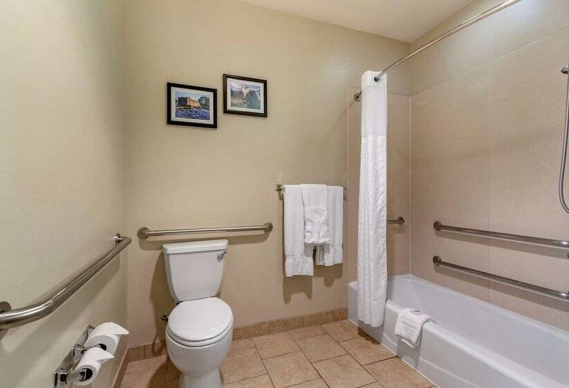 套房, Comfort Suites Buda   Austin South
