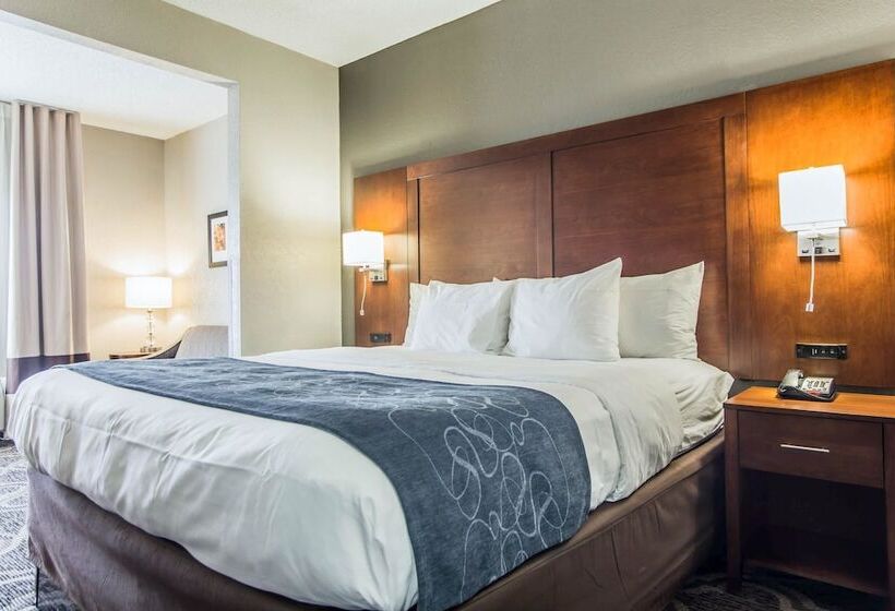 Люкс, Comfort Suites Pineville  Ballantyne Area