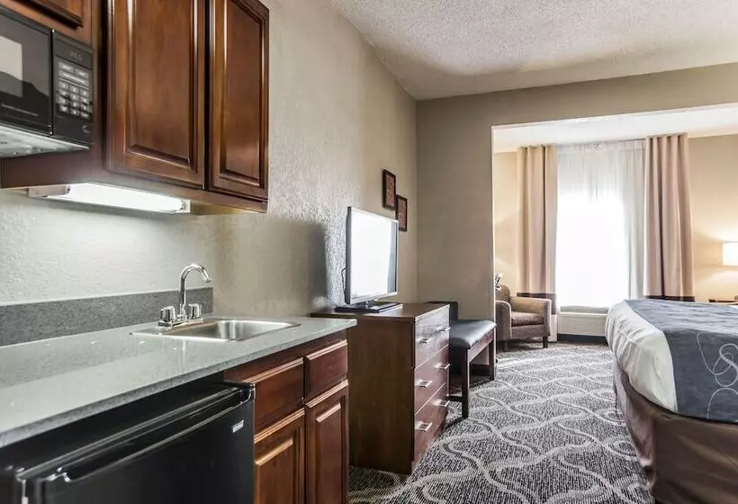 スイート, Comfort Suites Pineville  Ballantyne Area