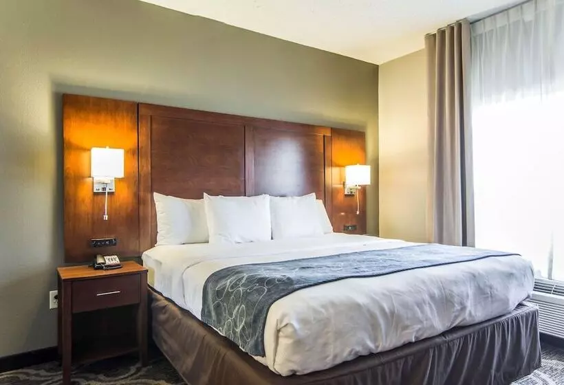 身障者適用スイートルーム, Comfort Suites Pineville  Ballantyne Area