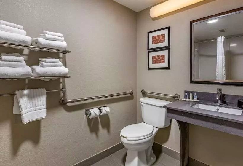 身障者適用スイートルーム, Comfort Suites Pineville  Ballantyne Area