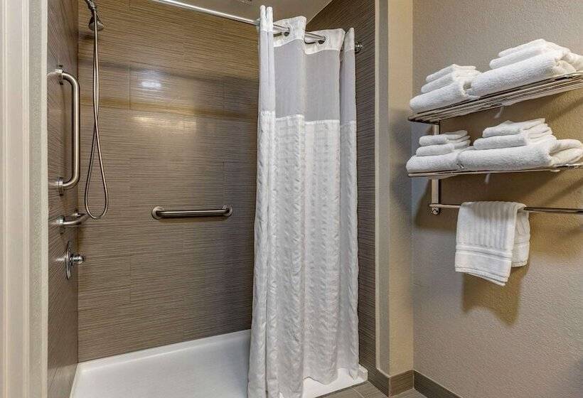 Люкс Адаптированный для Инвалидов, Comfort Suites Pineville  Ballantyne Area