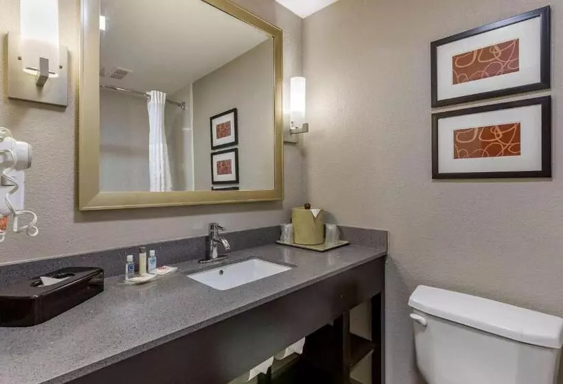 キングサイズベッドのスイートルーム, Comfort Suites Pineville  Ballantyne Area