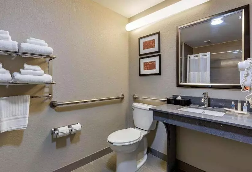 キングサイズベッドのスイートルーム, Comfort Suites Pineville  Ballantyne Area